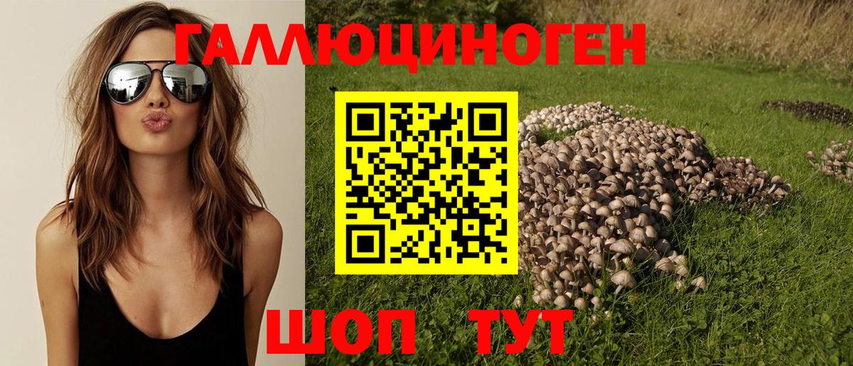 Псилоцибиновые грибы мицелий Мирный